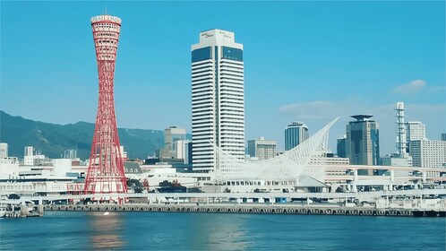 Dari Osaka: Tur Khusus Pribadi 10 jam ke Kobe