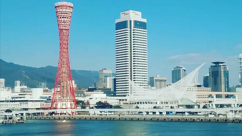 Desde Osaka: tour privado personalizado de 10 horas a Kobe