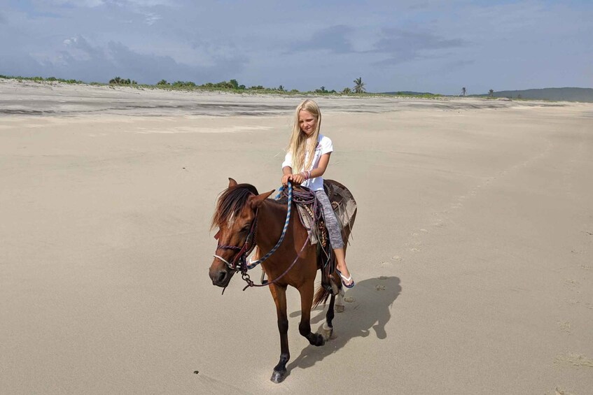 Picture 6 for Activity From Huatulco: Beach Horseback Riding Experience