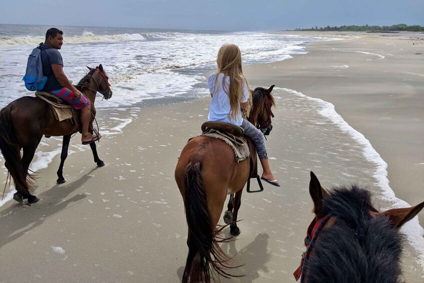 Picture 5 for Activity From Huatulco: Beach Horseback Riding Experience