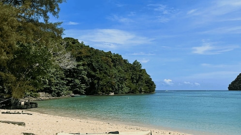 Kota Kinabalu: Snorkelling & Island Hopping Sapi & Manukan