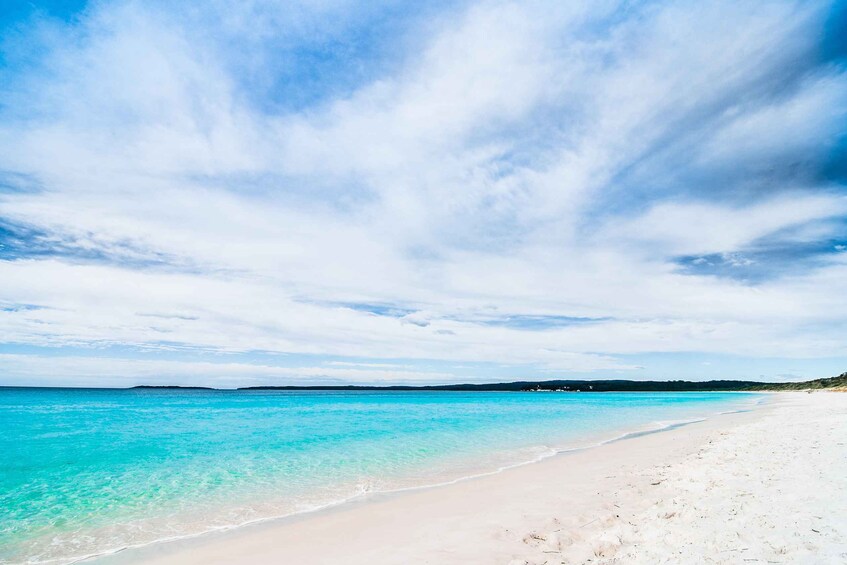 From Sydney: Jervis Bay Dolphin Cruise with BBQ Lunch