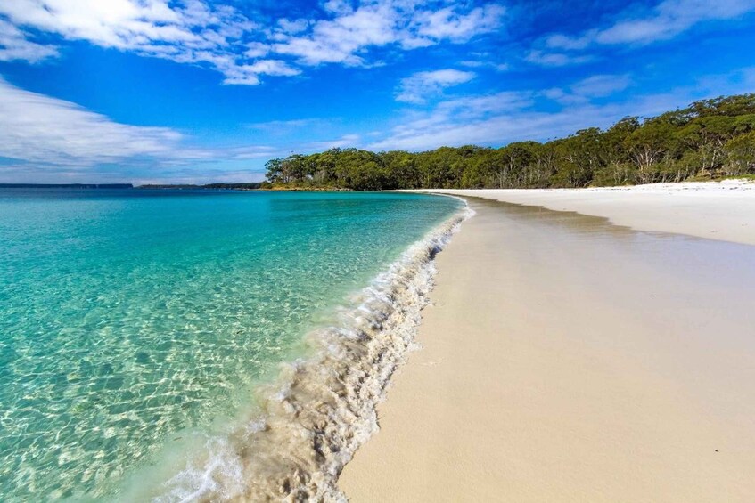 Picture 1 for Activity From Sydney: Jervis Bay Dolphin Cruise with BBQ Lunch