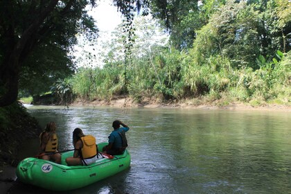 La Fortuna：野生动物观光在 Penas Blancas 河上漂流