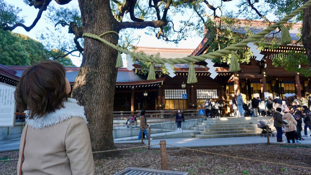 Picture 10 for Activity Harajuku From Meiji shrine to Shibuya Crossing 2 hours