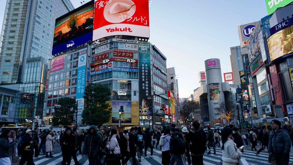 Picture 11 for Activity Harajuku From Meiji shrine to Shibuya Crossing 2 hours