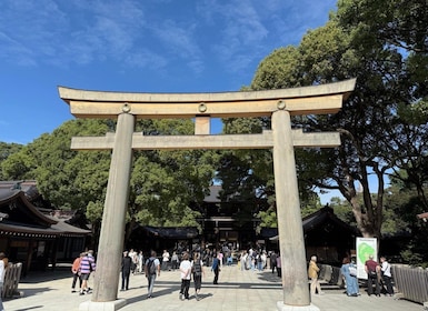 Harajuku From Meiji shrine to Shibuya Crossing 2 hours