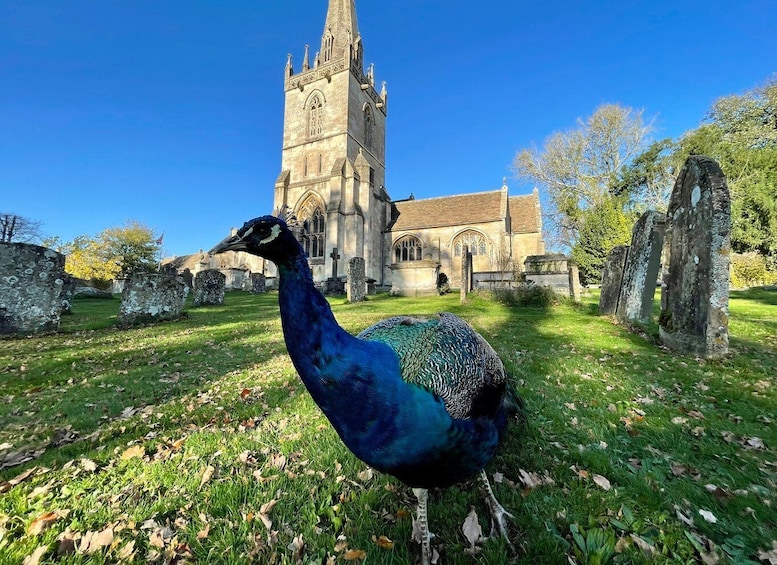 Picture 5 for Activity From Bath: Private Tour to Serene Cotswolds with Pickup