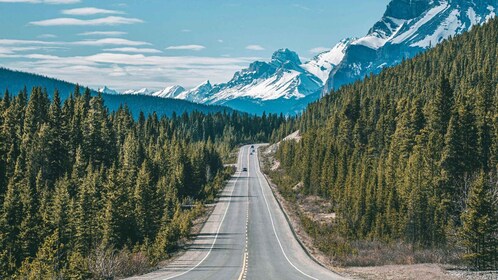 Desde Canmore/Banff: experiencia en Icefields Parkway