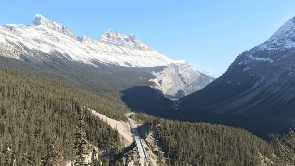 Picture 3 for Activity From Canmore/Banff: Icefields Parkway Experience