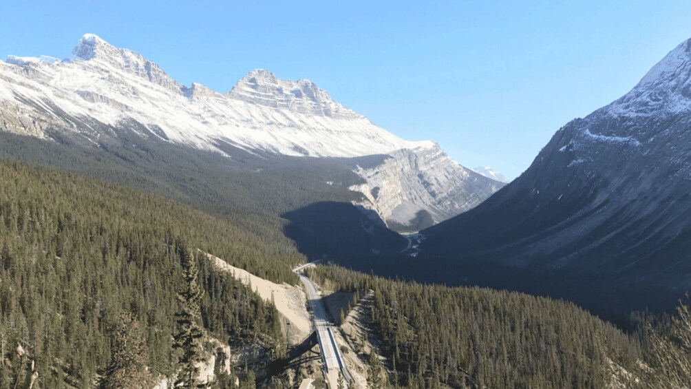 Picture 3 for Activity From Canmore/Banff: Icefields Parkway Experience