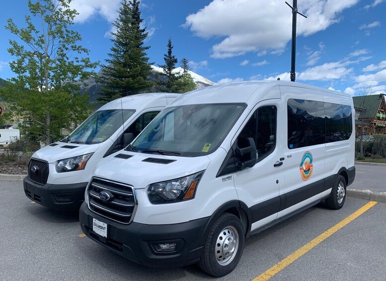 Picture 4 for Activity From Canmore/Banff: Icefields Parkway Experience