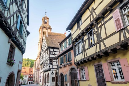 Riquewihr: Private geführte Wandertour