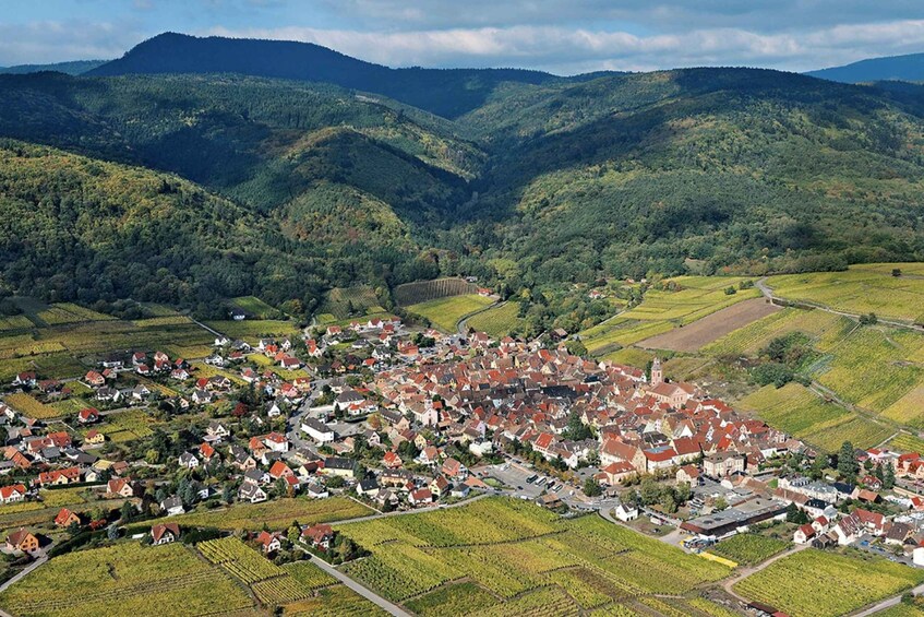 Picture 2 for Activity Riquewihr: Private Guided Walking Tour