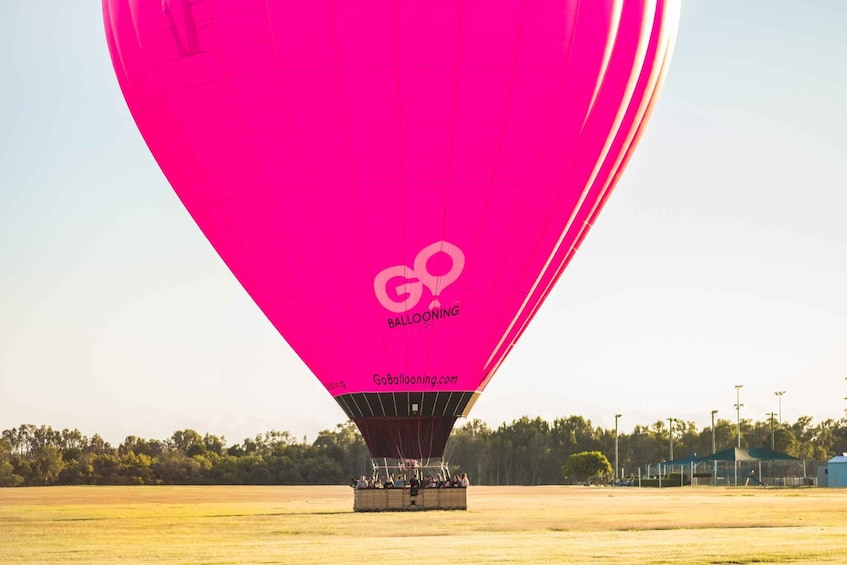 Picture 3 for Activity Gold Coast: Hot Air Balloon Flight with Buffet Breakfast
