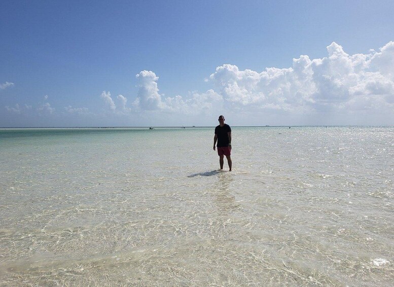 Picture 1 for Activity From Holbox: 3-Islands Wildlife and Swimming Boat tour