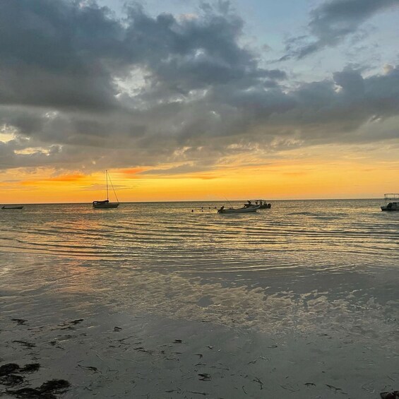 Picture 6 for Activity From Holbox: 3-Islands Wildlife and Swimming Boat tour