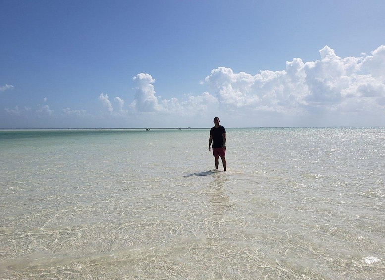 Picture 1 for Activity From Holbox: 3-Islands Wildlife and Swimming Boat tour