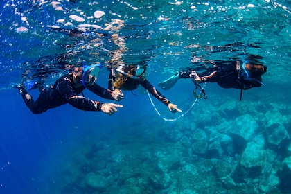 Radazul : Plongée en famille excursion