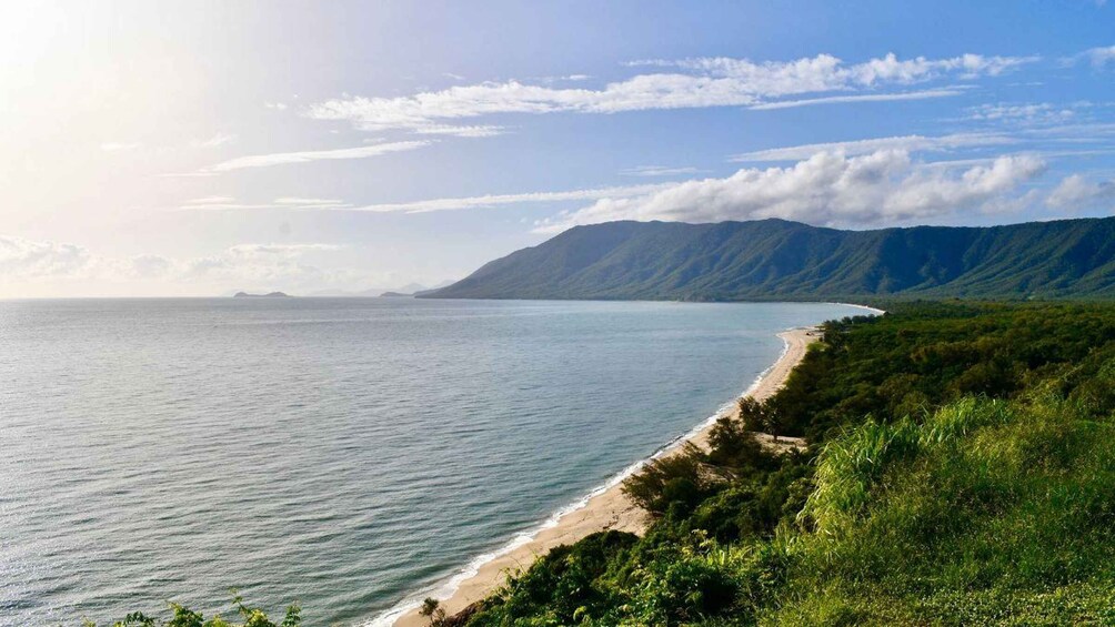 Picture 10 for Activity From Port Douglas: Daintree and Mossman Gorge Day Tour