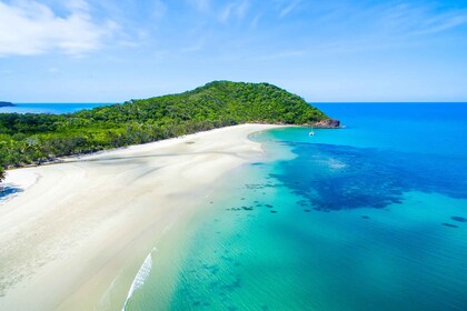 Vanuit Port Douglas: Dagtocht door Daintree en Mossman Gorge