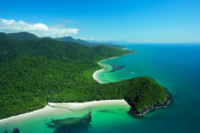 Picture 7 for Activity From Port Douglas: Daintree and Mossman Gorge Day Tour
