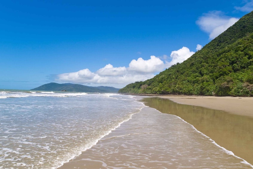 Picture 6 for Activity From Port Douglas: Daintree and Mossman Gorge Day Tour