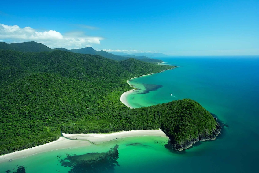 Picture 7 for Activity From Port Douglas: Daintree and Mossman Gorge Day Tour