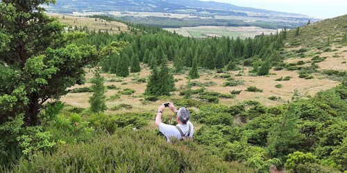 Insel Terceira: Wanderweg Rocha do Chambre