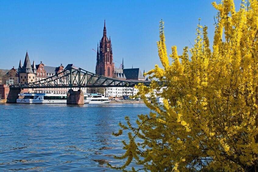 Picture 3 for Activity Frankfurt: Private City Center Sightseeing Walking Tour