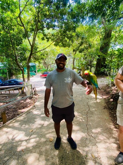 Picture 2 for Activity Roatan East Side Tour + Sloths + Iguanas