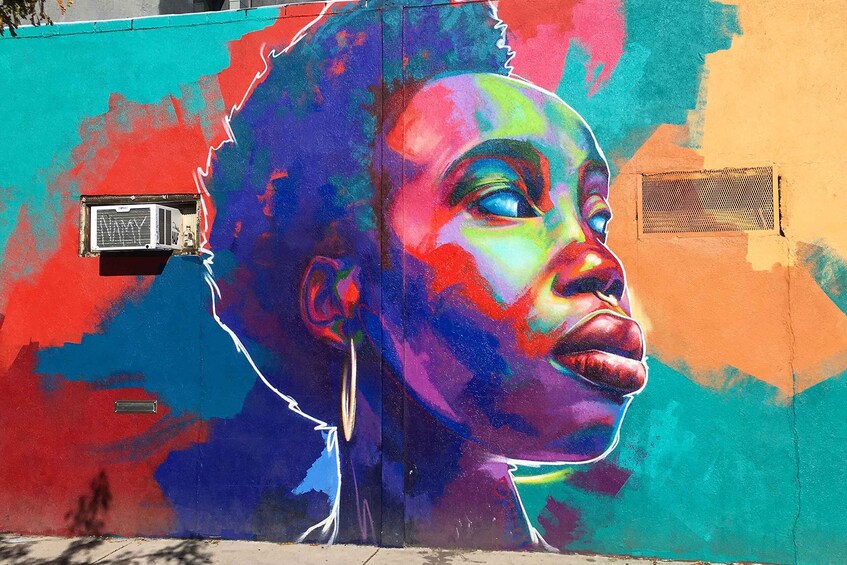Picture 1 for Activity Denver: Street Art, Murals, and Graffiti Walking Tour
