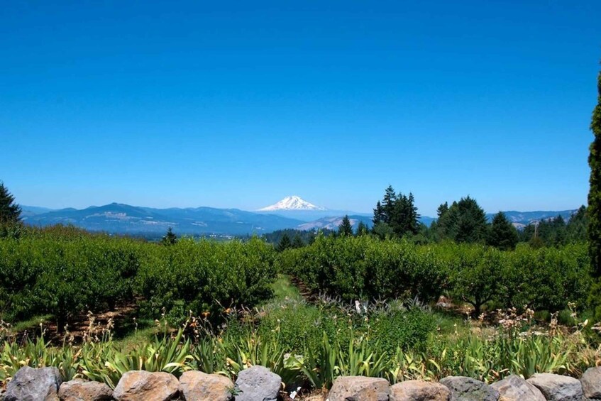 Picture 2 for Activity Hood River: Gift Basket Factory Tour