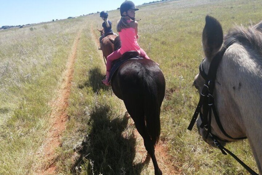 Guided 1-Hour Farm Horse Trail