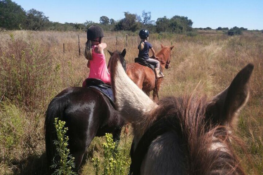 Guided 1-Hour Farm Horse Trail