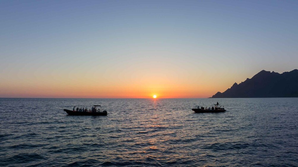 Picture 10 for Activity Gulf of Calvi & Sunset aperitif