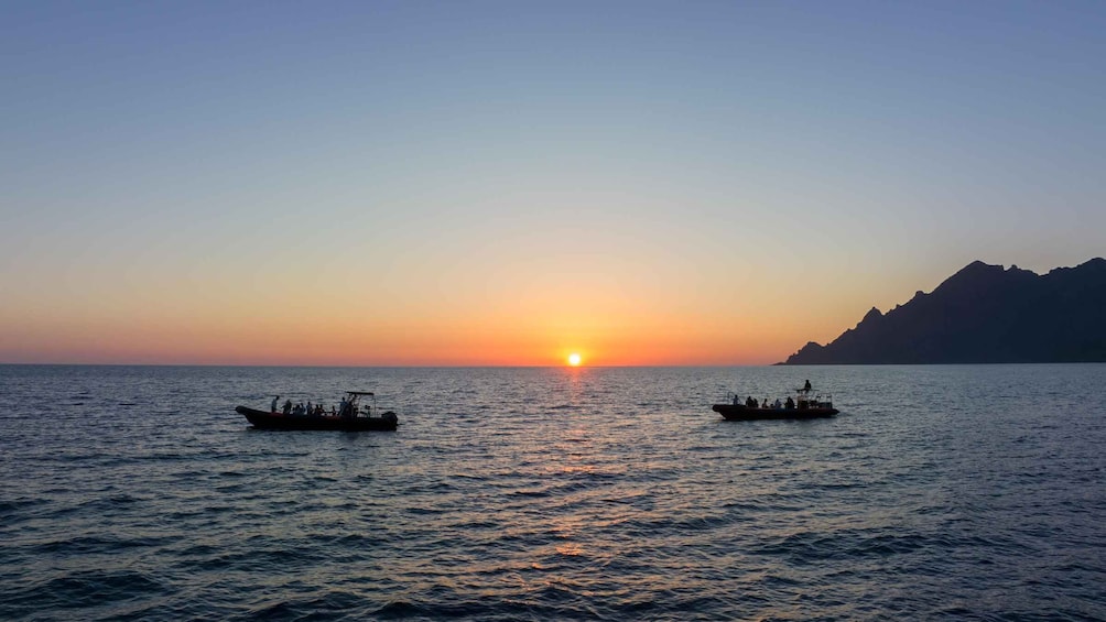 Picture 10 for Activity Gulf of Calvi & Sunset aperitif