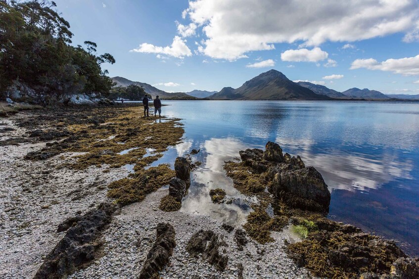 Picture 6 for Activity Hobart: Fly & Cruise in Southwest Wilderness Area with Lunch