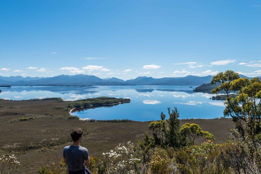 Picture 5 for Activity Hobart: Fly & Cruise in Southwest Wilderness Area with Lunch