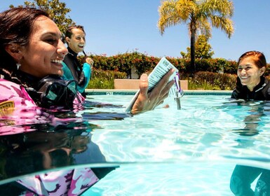 Madère : Premier cours de certification de plongeur en eau libre