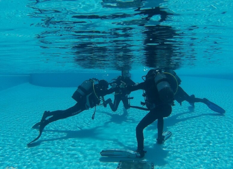 Picture 6 for Activity Madeira: Open Water Diver First Certification Course