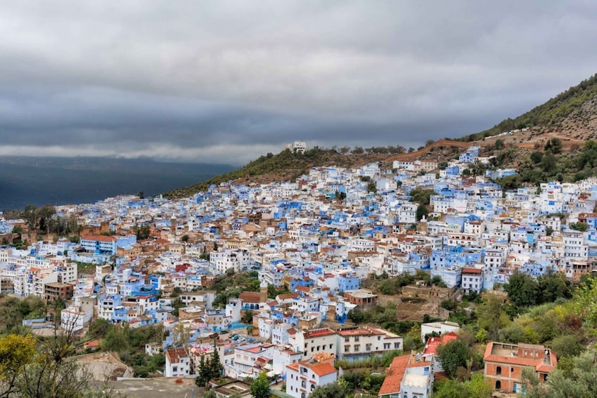 Picture 4 for Activity From Casablanca: private Day Trip to Chefchaouen