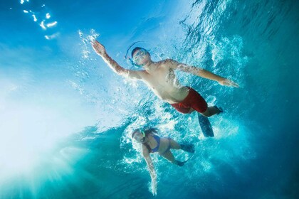 Playa Del Carmen: Reef Snorkeling Tour