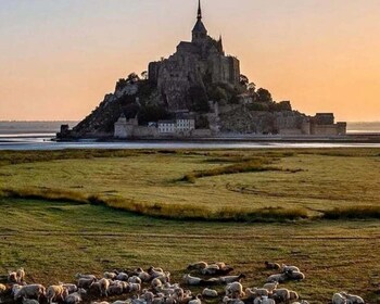 Mont-Saint Michel tour with national guide