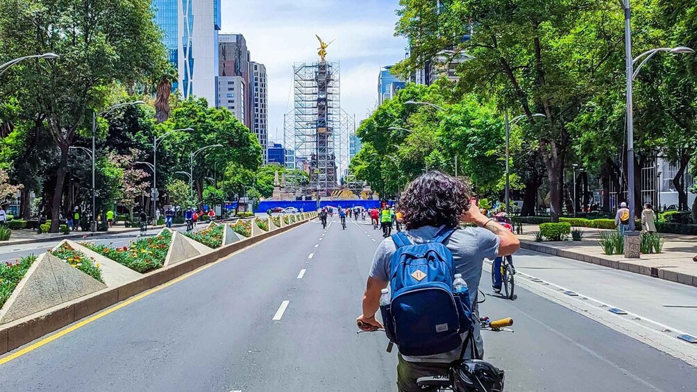 Picture 8 for Activity 🟢Street Food Bike Tour Mexico City🟢