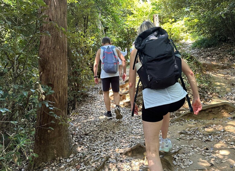 Picture 3 for Activity Kamakura Hidden Hike