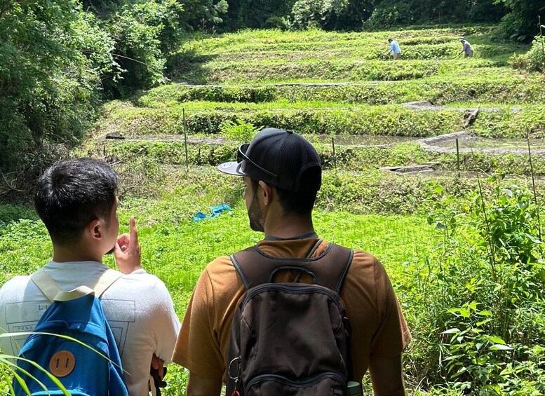 Picture 7 for Activity Kamakura Hidden Hike