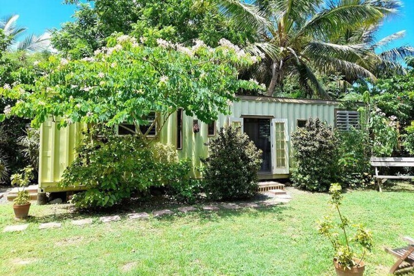 Private Art & Culture Tour in Tortola Virgin Islands