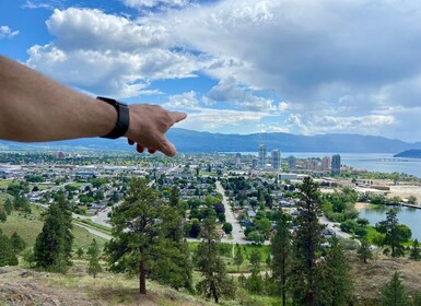 Kelowna: Okanagan Lake Guided E-Bike Tour with Picnic