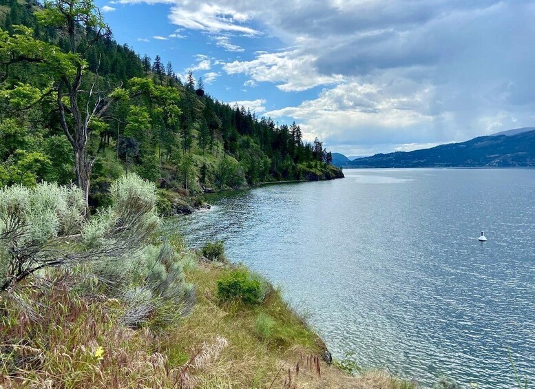 Picture 15 for Activity Kelowna: Okanagan Lake Guided E-Bike Tour with Picnic